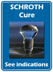 Schroth Cure in Ecohotel Balneario Puerto de Ojen in the Costa del Sol