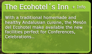 Go to Ecohotel Puerto de Ojéns Inn